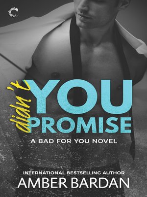 Didn't You Promise - ebook